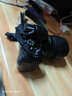 【二手99新】 尼康（Nikon） D5200D5300/D5600單反數碼照相機 入門(mén)級 D5500 18-105 VR防抖套機 99新 曬單實(shí)拍圖