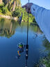 達(dá)億瓦（DAIWA）24新款 REGAL CS 進(jìn)口輕量紡車輪遠(yuǎn)投路亞輪 10軸小型通用釣魚輪 LT 3000S-CXH（淺杯+高高速比） 曬單實(shí)拍圖