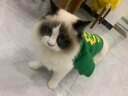 憨憨宠 狗狗衣服 猫衣服宠物衣服变身装猫咪衣服中小型犬幼犬秋冬服装 小恐龙款 L号建议体重7-10斤 实拍图