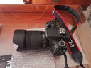 佳能（Canon） 佳能(Canon) EOS 90D單反相機(jī)數(shù)碼照相機(jī)家用學(xué)生 90D(18-135 USM128G專(zhuān)業(yè)配件套裝 曬單實(shí)拍圖