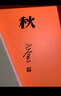 正版現(xiàn)貨 巴金激流三部曲 家春秋 全套3冊(cè) 人民文學(xué)出版社 曬單實(shí)拍圖
