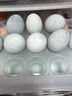 88咸鴨蛋8枚+松花蛋8枚 65克/枚手提組合禮盒 曬單實(shí)拍圖