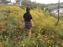 拉曼咔極夜之歌jk制服格裙正版套裝全套夏季原創(chuàng  )少女裙子短裙百褶裙班服 黑色短袖襯衫+極夜之歌+平角結+ M 曬單實(shí)拍圖