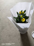 菜友迷你玫瑰花苗盆栽花卉室內植物陽(yáng)臺花卉月季花苗盆栽帶盆載好開(kāi)花 黃色 曬單實(shí)拍圖