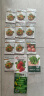 寿禾12种蔬菜种子西红柿黄瓜鸡毛青菜菠菜香菜生菜 12种蔬菜种子套餐 实拍图