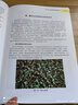 蔬菜病蟲(chóng)診斷與防治彩色圖解 中國農業(yè)科學(xué)技術(shù)出版社 魯傳濤 等 編 書(shū)籍 圖書(shū) 曬單實(shí)拍圖
