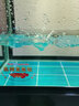 閩江（minjiang）魚(yú)缸水族箱免換水生態(tài)造景客廳風(fēng)金龍魚(yú)缸玻璃烏龜缸錦鯉缸 黑色（禮包+造景+升級過(guò)濾） 長(cháng)100*寬30*高142（魚(yú)缸+柜子） 曬單實(shí)拍圖