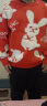 即势2024龙年新衣服本命年红色毛衣男女秋冬款圣诞情侣毛绒衫圆领上衣 兔子红色毛衣-YM22-WKB XL【建议130-150斤】 实拍图