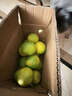 品鮮將黃金貢柚湖北懷化柑橘柚子春香柚黃金柑時(shí)令新鮮水果年貨禮盒 彩箱9斤 果徑75mm+ 曬單實(shí)拍圖