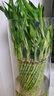 喜藝富貴竹水培植物室內(nèi)帶根盆栽開業(yè)新房喬遷送禮大型綠植竹子盆栽 編織富貴竹 大號(hào)【印花盆】 曬單實(shí)拍圖