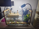 爬將軍魚(yú)龜混養缸烏龜缸家用曬臺造景別墅超白玻璃生態(tài)飼養箱水陸缸 40cm【缸+曬臺+過(guò)濾+曬燈+真綠植】 曬單實(shí)拍圖