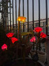 Komebrite 太陽(yáng)能燈庭院燈花園別墅裝飾燈仿真玫瑰花燈戶(hù)外防水插地草坪燈 太陽(yáng)能3頭【2只裝】紅玫瑰 太陽(yáng)能插地草坪燈 曬單實(shí)拍圖