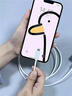原裝適配蘋果iPad mini3充電器30W瓦PD快充ipadmini2充電器7.9英寸iPad Mini平板充電器 【30W快充頭+1.5米線+2米線】 曬單實(shí)拍圖