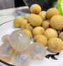 潤味來龍眼新鮮 桂圓水果新鮮水果鮮桂圓當季蜜甜多汁皮薄熱帶禮盒裝 1斤 精選裝（無禮盒） 曬單實拍圖