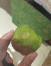 譯優(yōu)農陜西眉縣徐香獼猴桃新鮮水果綠心奇異果孕婦大果泥猴桃當季整箱 精品【單果80-100g】大果3斤 曬單實(shí)拍圖