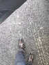 百麗溫潤氣質(zhì)正裝鞋男商場(chǎng)同款牛皮皮鞋加絨7WB01AM3 棕色 44 (270mm) 曬單實(shí)拍圖