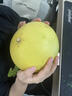 兮柔正宗浙江玉環(huán)文旦柚 新鮮柚子老樹(shù)白肉文旦柚子團購送禮佳品整箱 5斤 2個(gè)裝 曬單實(shí)拍圖
