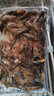 小河蝦 小草蝦 清水河蝦活蝦孕婦 新鮮速凍小河蝦鮮活 河蝦3-4厘米 250克(凈重) 曬單實(shí)拍圖