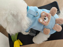 嬉皮狗（hipidog）狗狗玩偶小熊衛(wèi)衣狗狗衣服春秋款牽引繩泰迪比熊雪納瑞小型犬薄款 邦迪藍(lán)小熊 S （建議3-5斤） 曬單實拍圖