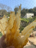 海鮮頌魚(yú)膠鱈魚(yú)膠深海黃花魚(yú)膠年節禮品花膠魚(yú)鰾魚(yú)肚干貨孕婦營(yíng)養補品 鱈魚(yú)膠250g/約26頭 曬單實(shí)拍圖