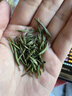 百草仙翁 2025新茶開化龍頂春茶綠茶雨前雀舌高山茶園清醇嫩芽茶葉250g 曬單實拍圖