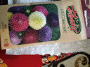 虹越萌吖吖花卉種子 花園庭院陽(yáng)臺賞花切花種子 勛章菊 熱吻白色火焰紋 曬單實(shí)拍圖