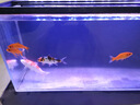 Atman魚(yú)缸抽水泵循環(huán)潛水泵過(guò)濾小水泵AT300系列 AT-306S+18mm管 曬單實(shí)拍圖