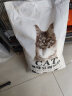 弗兰士 宠物松木猫砂 猫咪清洁除臭吸水快通用型10KG 原味豆腐猫砂10kg 实拍图