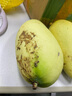 卓勵行越南進(jìn)口大青芒果玉芒果青芒大芒果生鮮新鮮水果 現摘 越南大青芒5斤 曬單實(shí)拍圖