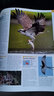 DK鳥(niǎo)類(lèi)世界百科全書(shū) 英文原版 Bird: The Definitive Visual Guide 精裝大開(kāi)插圖書(shū) 鳥(niǎo)類(lèi)攝影愛(ài)好者 鳥(niǎo)類(lèi)生活習性科普書(shū) 鳥(niǎo)類(lèi)生物學(xué) 曬單實(shí)拍圖