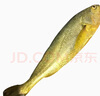 沈志雄東山島澳角村海捕大黃花魚小黃魚蒜瓣肉鮮年貨年夜飯送禮 3-4條/共1000g 曬單實拍圖