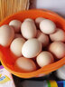 頤鄉情【欣農山谷】無(wú)抗鮮雞蛋富硒可生食葉黃素孕婦黑雞土雞蛋年貨禮盒 30枚正宗【無(wú)抗黑雞蛋】1箱 曬單實(shí)拍圖