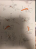 運(yùn)動(dòng)解剖學(xué)圖譜修訂第3版 肌肉塑造教程全書(shū) 人民體育健身書(shū)籍健美訓(xùn)練圖解 顧德明 醫(yī)學(xué)實(shí)用性圖譜 曬單實(shí)拍圖
