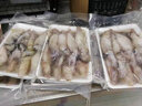 道樓鮮閣東山島滿籽海兔小管海鮮水產(chǎn)鮮活冷凍筆管魚全籽烏賊八爪魚海兔子 2斤 曬單實(shí)拍圖