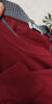 与狼共舞【100%纯羊毛】毛衣男2023秋季纯色针织衫V领套头男士线衫男装2E 墨绿色201 165/84A/S 实拍图