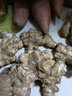 甜果源 紅芽嫩姜 現(xiàn)挖新鮮仔姜生姜子姜泡菜材料蔥姜蒜椒新鮮蔬菜 凈重3斤【家庭裝】 【順豐鎖鮮速發(fā)】 曬單實(shí)拍圖