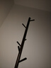 家逸衣帽架 衣架落地實(shí)木掛衣架臥室衣服架簡(jiǎn)約辦公室衣架子 曬單實(shí)拍圖