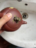 茗茶藝壺 宜興紫砂壺名家純手工泡茶壺茶具套裝原礦朱泥荷塘月色 單壺 曬單實(shí)拍圖