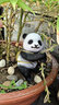 蔚然花屋 花園裝飾 庭院布置創(chuàng)意攀爬小兔子擺件樹上小動物掛件 攀登小熊貓 曬單實拍圖
