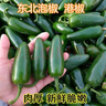 精選新鮮港椒墨西哥辣椒泡椒香辣薄皮肉厚當季農(nóng)家自種整箱 現(xiàn)摘現(xiàn)發(fā) 5斤 曬單實拍圖