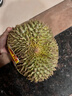 悠軼泰國金枕榴蓮新鮮果整箱長(cháng)柄榴蓮金枕頭進(jìn)口A(yíng)果整個(gè)帶殼熱帶水果 品質(zhì)級 果型更好丨50年老樹(shù)果 精選老樹(shù)報恩凈重6-7斤1-2個(gè) 曬單實(shí)拍圖