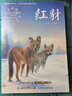 沈石溪動物小說感悟生命書系（修訂版） 紅豺 與課堂教學(xué)掛鉤 真正開卷有益 曬單實拍圖