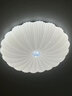 2025年新款臥室燈主臥吸頂燈奶油風(fēng)溫馨次臥房間燈現(xiàn)代簡約燈具 貝殼-圓形40cm36瓦單色白光 曬單實拍圖