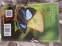 好奇心書系野外識別手冊（套裝共17冊）常見海濱動物+常見兩棲動物+常見爬行動物+常見蜻蜓+蜻蜓與豆娘+常見椿象+南方野花+常見蜘蛛+常見鳥類+常見螳螂+常見螽斯蟋蟀等 重慶大學(xué) 曬單實拍圖