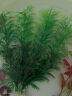俪鱼（LIYU）水草混装 高20-33cm 中后景套餐1 鱼缸造景仿真水草 塑料假水草  实拍图