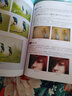 2024新書Photoshop從入門到精通ps完全自學教程書籍零基礎自學adobe淘寶美工后期調色師平面設計軟件圖像處理ps入門修圖教程教材書 曬單實拍圖