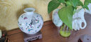 景德鎮陶瓷器古典粉彩陶瓷花瓶家居工藝品客廳裝飾品擺件插花花器 夜光 帶底座 曬單實(shí)拍圖