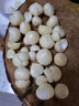 格沃斯（GEWOSI）【大降價(jià)】紫皮獨頭蒜現挖新鮮大蒜頭紅皮獨蒜批發(fā)價(jià)蔬菜 0g紫皮獨頭蒜新鮮 五斤【大果】 曬單實(shí)拍圖