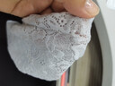 萊維森長(zhǎng)款冰袖女防曬蕾絲手袖套女夏季大彈力透氣遮疤痕紋身遮陽開車手臂套 長(zhǎng)款(膚色)1雙 均碼 曬單實(shí)拍圖