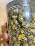 同仁堂原料產(chǎn)地精選菊花女貞子中草藥另售菟絲子加配胎菊非特級精選泡茶泡水喝 2罐胎菊+女貞子 曬單實(shí)拍圖